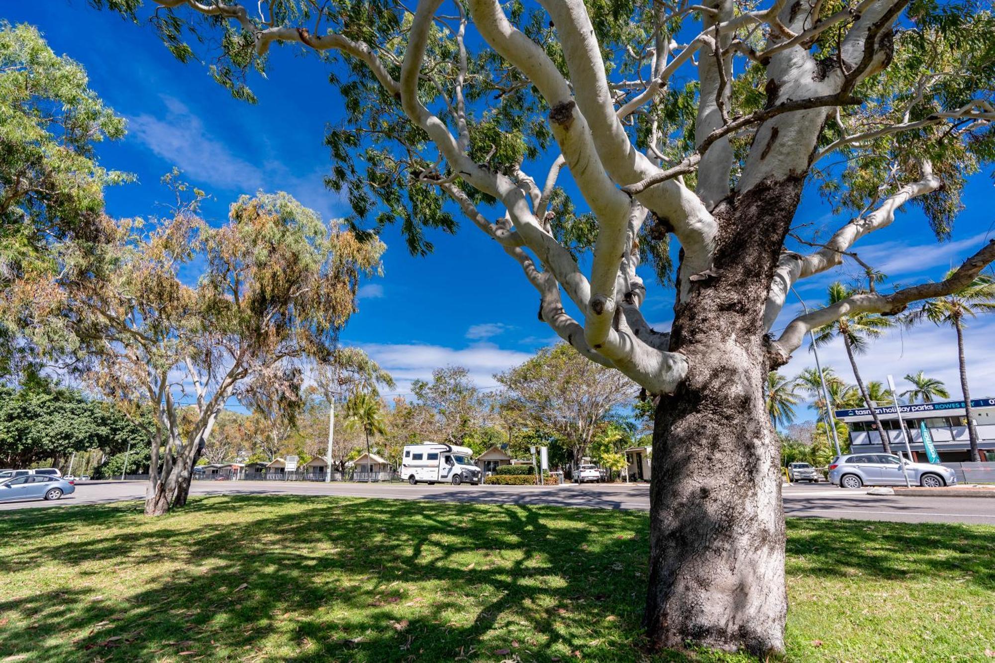 Big4 Tasman Holiday Parks - Rowes Bay Таунсвилл Экстерьер фото
